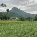 What are the Legal Requirements for Buying a Plot in Thiruvannamalai?