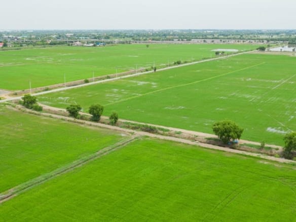 What Are the Legal Steps to Purchase Land for Sale in Vellore?