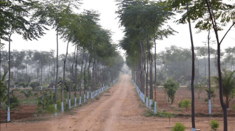 Land or Plots Near VIT Vellore