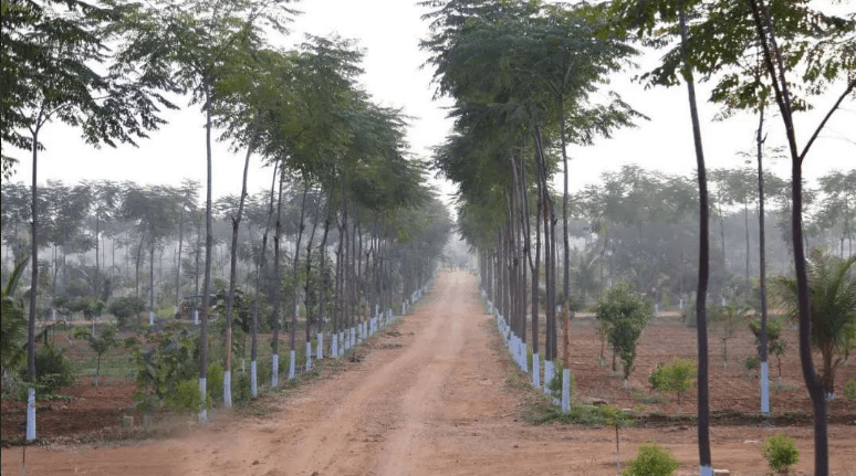 Land or Plots Near VIT Vellore