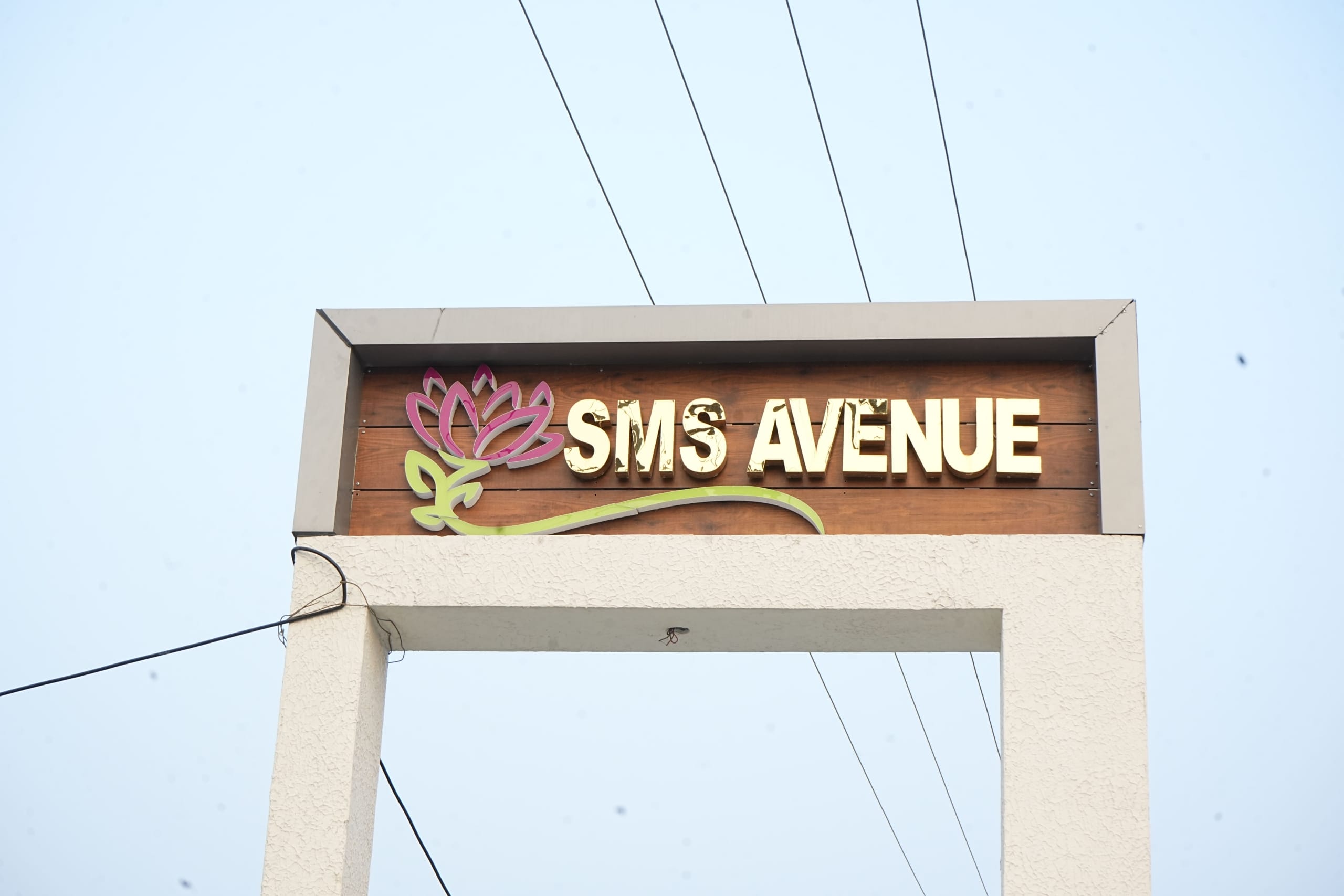 Why You Need to Choose Our SMS Avenue Plot Near VIT Vellore?