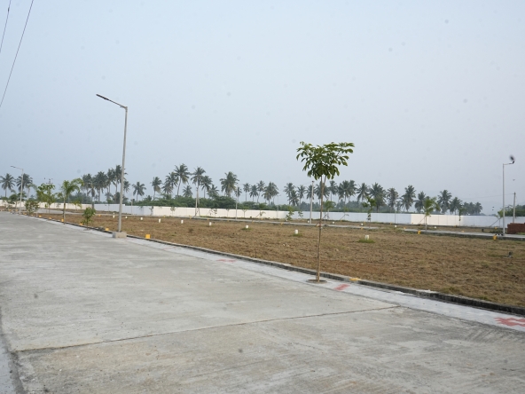 How to Choose a Verified Plots for Sale in Vellore Without Risk?