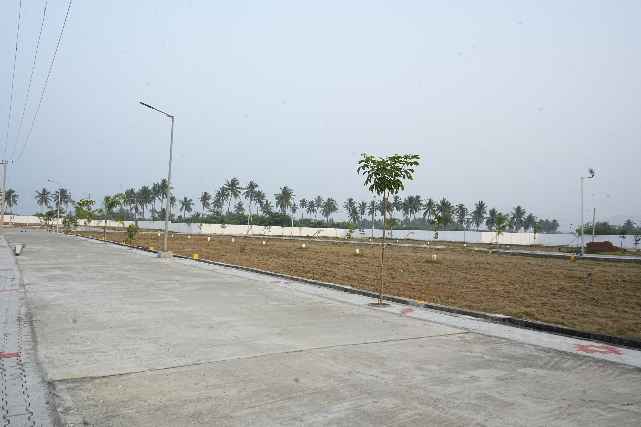 How to Choose a Verified Plots for Sale in Vellore Without Risk?
